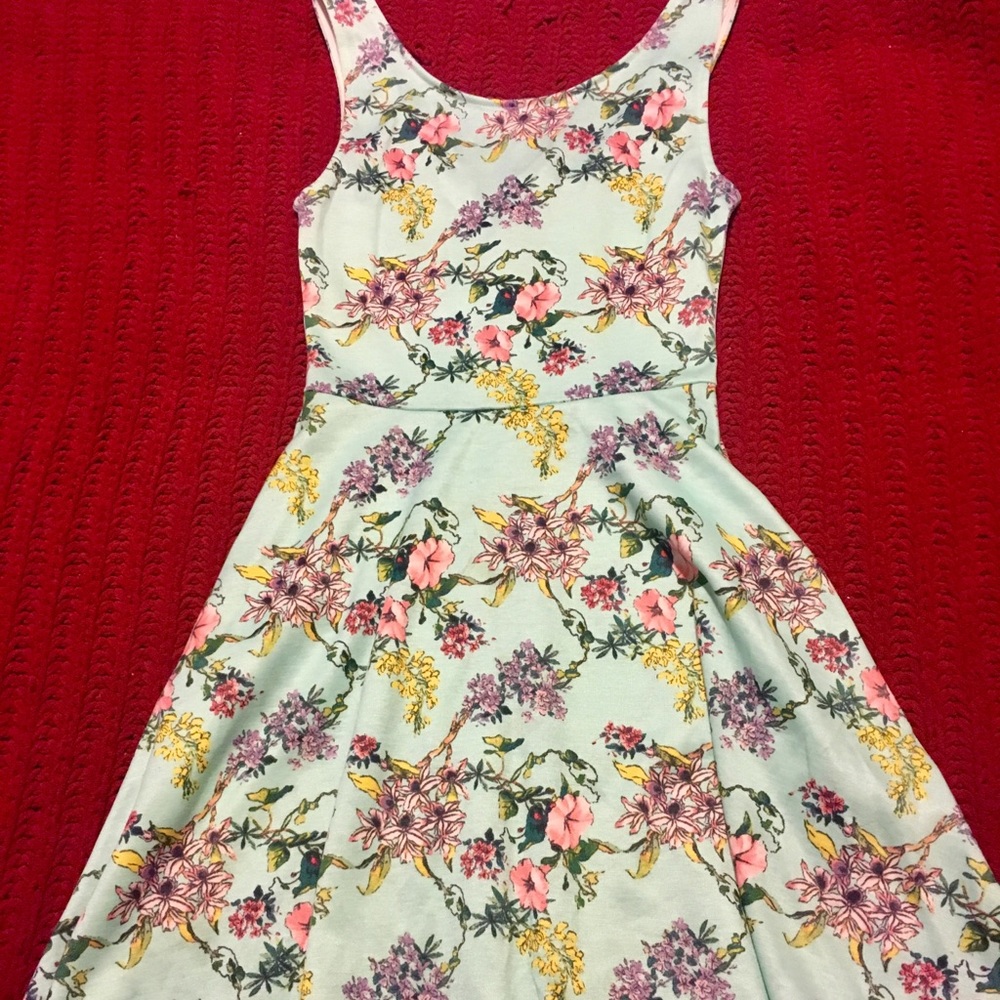 NWOT Divided A-Line dress